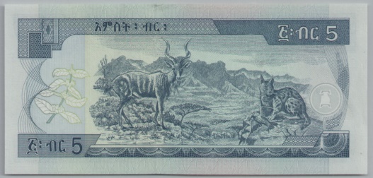 [Resmi Tam Görüntüle]