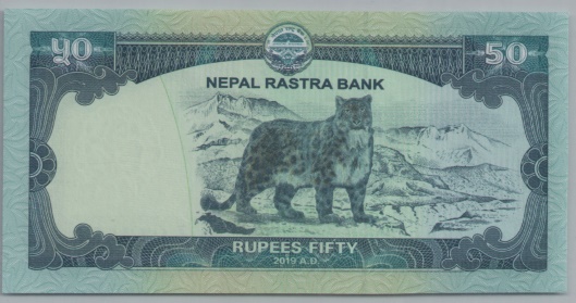 [Resmi Tam Görüntüle]