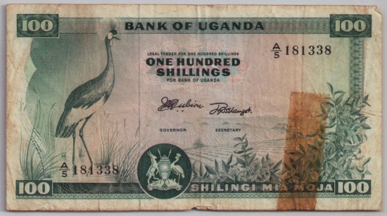 [Resmi Tam Görüntüle]